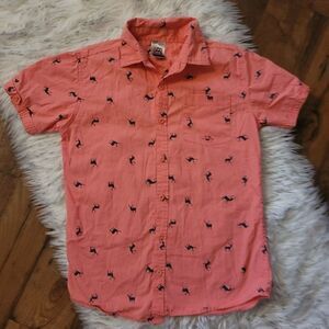 Avalanche Button Down  